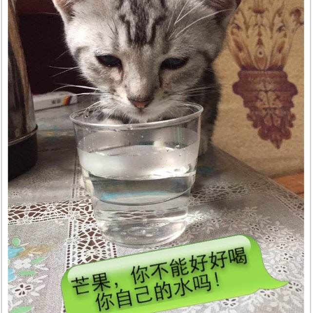 圣约瑟夫学院文凭毕业证样本资料